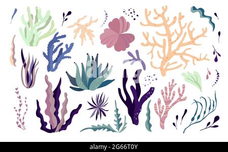 Unterwasserwelt Bewohner, Flora und Fauna Elemente. Algen, Korallenriff, Seetang. Stock Vektor