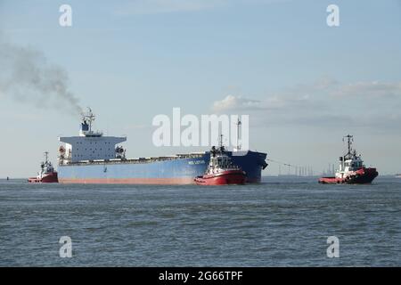 Bulk Carrier ROTER LOTUS, der von Schleppern, die den Gent-Kanal erreichen, zugesetzt wurde Stockfoto