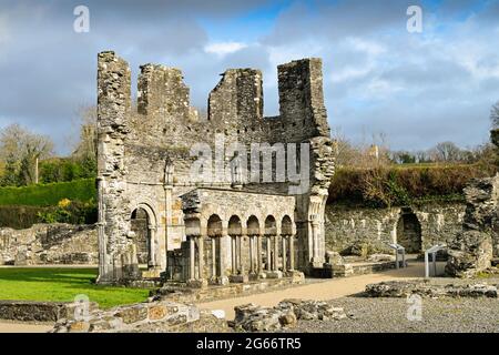 Die erste Zisterzienserabtei, die im 1200. Jahrhundert in Irland gegründet wurde. County Meath, Irland. Stockfoto