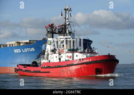 Bulk Carrier ROTER LOTUS, der von Schleppern, die den Gent-Kanal erreichen, zugesetzt wurde Stockfoto