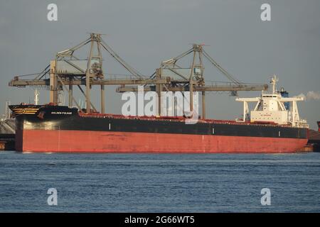 Bulk Carrier ROTER LOTUS, der von Schleppern, die den Gent-Kanal erreichen, zugesetzt wurde Stockfoto