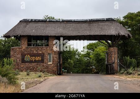 Kruger National Park, Südafrika, 5. April 2021: Eingangstor beim Mopani Restcamp im Kruger National Park. Dieses Lager befindet sich im nördlichen Teil von t Stockfoto