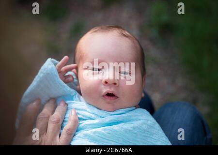 Porträt eines ein paar Wochen alten Babys Stockfoto