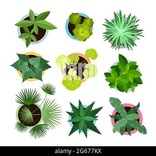 Vektor-Illustration Satz von verschiedenen Hauspflanzen in Töpfen isoliert auf weißem Hintergrund. Draufsicht Sammlung von Pflanzen, Kaktus in flachen Cartoon-Stil. Stock Vektor
