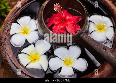 Wasser gefüllten Keramiktopf mit einem hölzernen Schaufel und Blumen Stockfoto