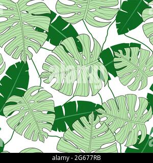 Vektor-Illustration von Monstera Blätter nahtlose Muster. Grüne tropische Blätter. Textur, exotischer Baum. Sommerliches Muster im flachen Stil für dein Design. Stock Vektor