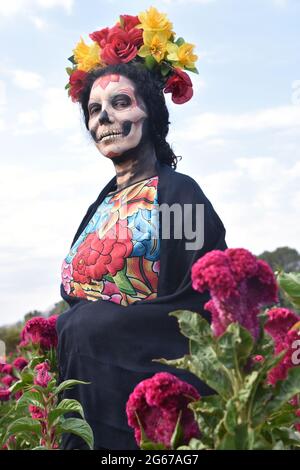 Eine Frau, die als Catrina gekleidet ist, eine berühmte Day of the Dead Figur, posiert in einem Feld von Day of the Dead Blumen. Stockfoto