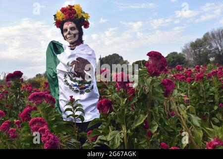 Eine Frau, die als Catrina gekleidet ist, eine berühmte Day of the Dead Figur, posiert in einem Feld von Day of the Dead Blumen. Stockfoto