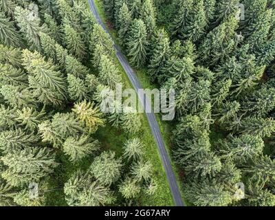 Landschaft mit Nadelbäumen und Straße von oben Stockfoto
