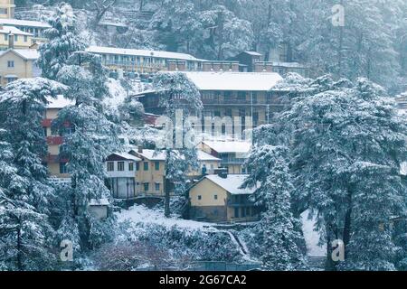 Neueste Ansichten von Schneefall in Shimla Stockfoto