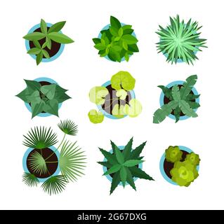 Vektor-Illustration von Hauspflanzen in Töpfen, Icon Set Draufsicht, grüne Haustiere Blumen, Palmen in flachem Stil isoliert auf dem weißen Hintergrund. Stock Vektor