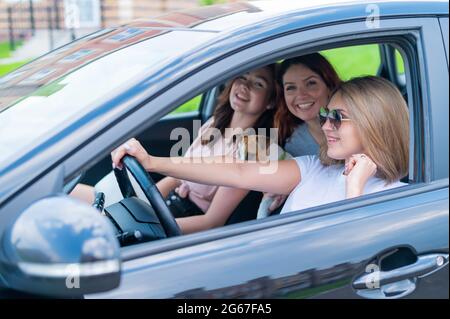 Drei Freunde reisen mit einem Hund in einem Auto Stockfoto