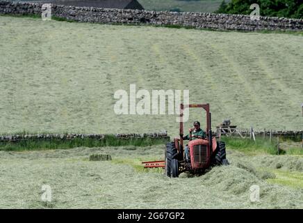 Landwirt auf einem Massey Ferguson 35 aus dem Jahr 1963, der zur Ballung bereitsteht, Hawes, North Yorkshire, Großbritannien. Stockfoto