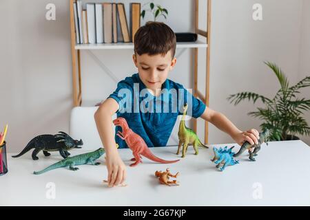 Fokussiertes Kind, das zu Hause mit Dinosauriern spielt. Junge lernt Paläontologie von Dino-Spielzeug in der Freizeit. Konzept von klugen Kindern und frühen Bildung Stockfoto