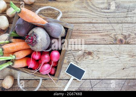 Bio-Bauerngemüse: Karotten, Rüben, Radieschen, Kartoffeln und Knoblauch in einer Holzkiste auf Holzboden. Verkauf von saisonalem Gemüse Stockfoto