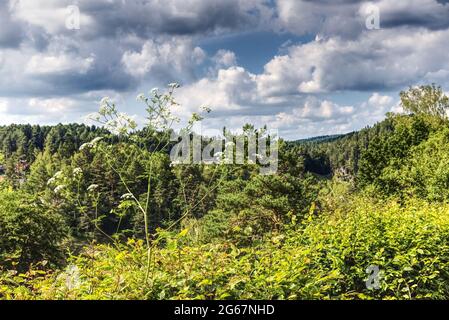 Wälder in den Bergen gegen bewölkten Himmel Stockfoto