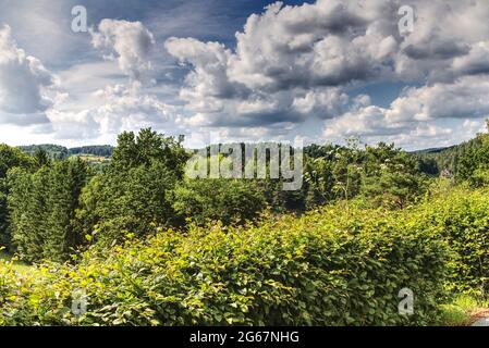 Wälder in den Bergen gegen bewölkten Himmel Stockfoto