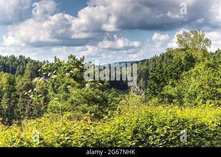 Wälder in den Bergen gegen bewölkten Himmel Stockfoto