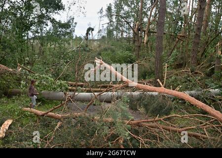 Schäden durch einen Tornado im Juni 2021, Stebno, Bezirk Louny, Tschechische Republik. Stockfoto