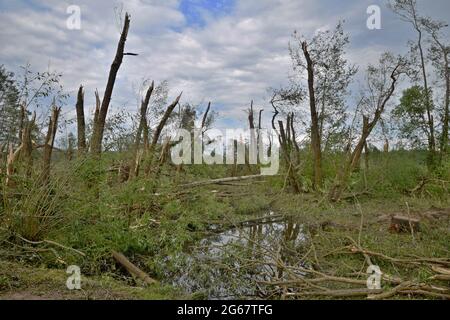 Schäden durch einen Tornado im Juni 2021, Stebno, Bezirk Louny, Tschechische Republik. Stockfoto