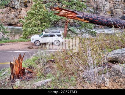 Fort Collins, CO, USA - 11. Mai 2021: Toyota 4Runner SUV (Modell 2016 Trail) im Poudre River Canyon in den Colorado Rocky Mountains, Frühlingslandschaft Stockfoto