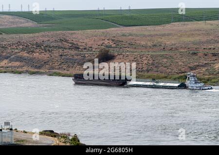 Ein Schlepper schiebt einen Lastkahn auf dem Snake River in der Nähe des Ice Harbour Dam in Washington, USA Stockfoto