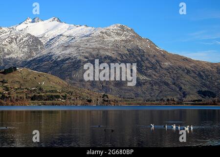 Winterlandschaft am Lake Hayes, Otago, Neuseeland Stockfoto