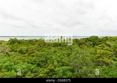 Draufsicht auf das Biosphärenreservat Sian Ka'an, Quintana Roo, Mexiko Stockfoto