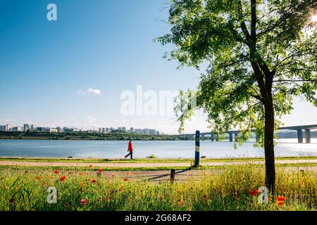 Misa Bridge und Namyangju Hangang River Park Sampae District im Frühling in korea Stockfoto