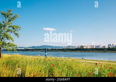 Namyangju Hangang River Park Sampae District im Frühling in korea Stockfoto