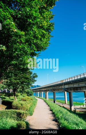 Sommer im Namyangju Hangang River Park Sampae District in korea Stockfoto