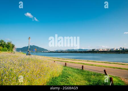 Namyangju Hangang River Park Sampae District im Frühling in korea Stockfoto