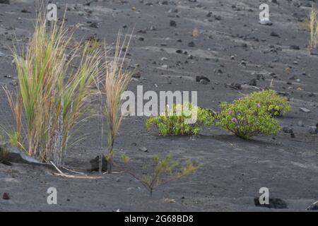 Ausbruch der Anakkraktau Sunda Strait Indonesia Stockfoto