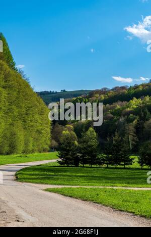 Schmale kurvige Straße mit Hügeln, die von Bäumen und Wiesen im Hintergrund bedeckt sind, während eines schönen Frühlingstages - Biele Karpaty Mountains in der Nähe von Drietoma