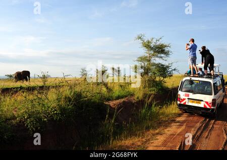 UGANDA. MURCHISON FALLS NATIONAL PARK. TOURISTEN AUF DEM DACH IHRES FAHRZEUGS, DIE FOTOS AUF EINEM ELEFANTEN MACHEN. Stockfoto