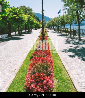 Panorama-Seeufer von Bellagio, Bänke im Schatten der Rhododendren und bunte Blume beds.Como See, Italien. Stockfoto