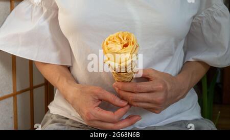 Weibliche Hand, die anstelle einer kalten Kugel einen Eiskegel mit einer gelben Rose hält. Zusammengesetztes Dessert. Makro, Nahaufnahme. Stockfoto