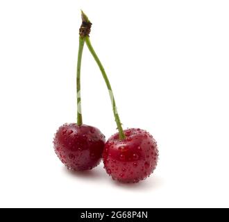 2 rote Kirschen im Tau isoliert auf weißem Hintergrund Nahaufnahme. Stockfoto