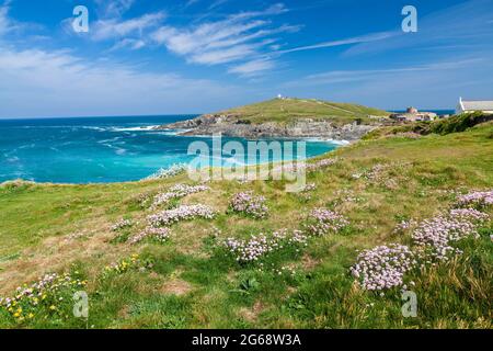 Sommertag mit Blick auf Little Fistral Beach Newquay Cornwall England Großbritannien Europa Stockfoto