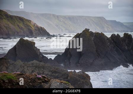 Schönes Landschaftsbild vom Hartland Quay in Devon England während des stimmungsvollen Frühlings bei Sonnenuntergang Stockfoto