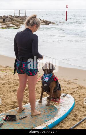 Poole, Dorset, Großbritannien. Juli 2021. Hundesurftraining am Strand von Branksome Dene Chine vor den Dog Surfing Championships Ende des Monats. Quelle: Carolyn Jenkins/Alamy Live News Stockfoto