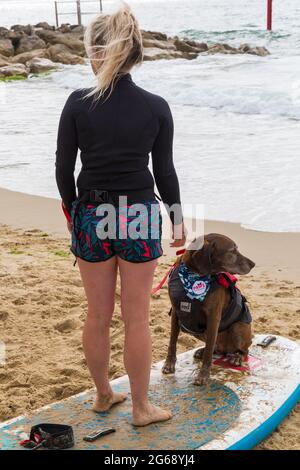 Poole, Dorset, Großbritannien. Juli 2021. Hundesurftraining am Strand von Branksome Dene Chine vor den Dog Surfing Championships Ende des Monats. Quelle: Carolyn Jenkins/Alamy Live News Stockfoto