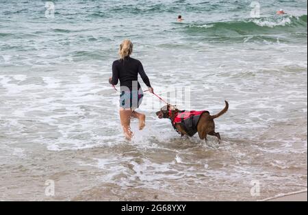 Poole, Dorset, Großbritannien. Juli 2021. Hundesurftraining am Strand von Branksome Dene Chine vor den Dog Surfing Championships Ende des Monats. Quelle: Carolyn Jenkins/Alamy Live News Stockfoto