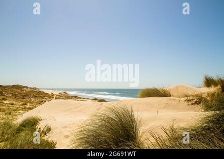 Sanddünen am Strand von Cavadelo, Portugal Stockfoto