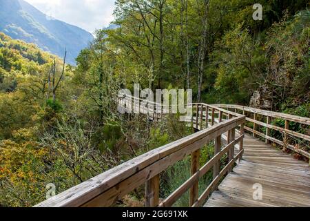 Holzsteg im Mao River Canyon, Ribeira Sacra, Galicien, Spanien Stockfoto