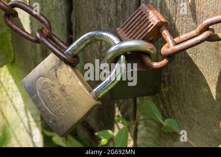 Vorhängeschlösser an einer Kette aus gemischtem Messing-Chromstahl im offenen Rost sind abgenutzt und werden für ein Tor zu einer Feldkette mit drei Vorhängeschlössern verwendet Stockfoto