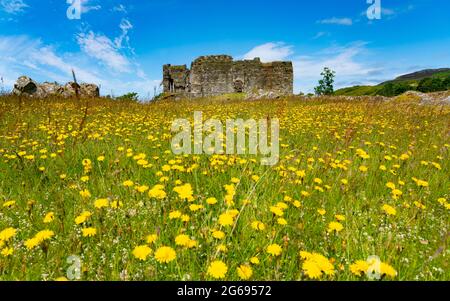 Außenansicht von Castle Sween am Ufer des Loch Sween in Argyll & Bute, Schottland, Großbritannien Stockfoto