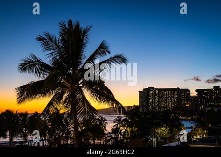 Eine Palme umrastete den Abendhimmel mit den Lichtern eines Hotels in der Ferne entlang der Strände von Waikiki auf der Insel Oahu in Hawai Stockfoto