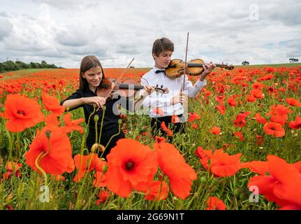 Viktor Seifert, 14, und seine Schwester Klara Seifert, 12, spielen auf einem Feld in der Nähe von Edinburgh die Geigen Wilfred Owen und Siegfried Sassoon, umgeben von Mohn, um hundert Jahre Mohn als internationales Symbol der Erinnerung zu feiern. Bilddatum: Sonntag, 4. Juli 2021. Stockfoto