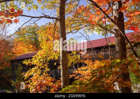 Albany überdachte Brücke durch einen Herbstnachmittag Stockfoto